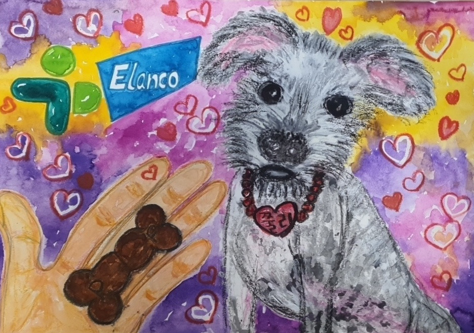 쭐리에게 사랑을 전하고 싶어요 썸네일