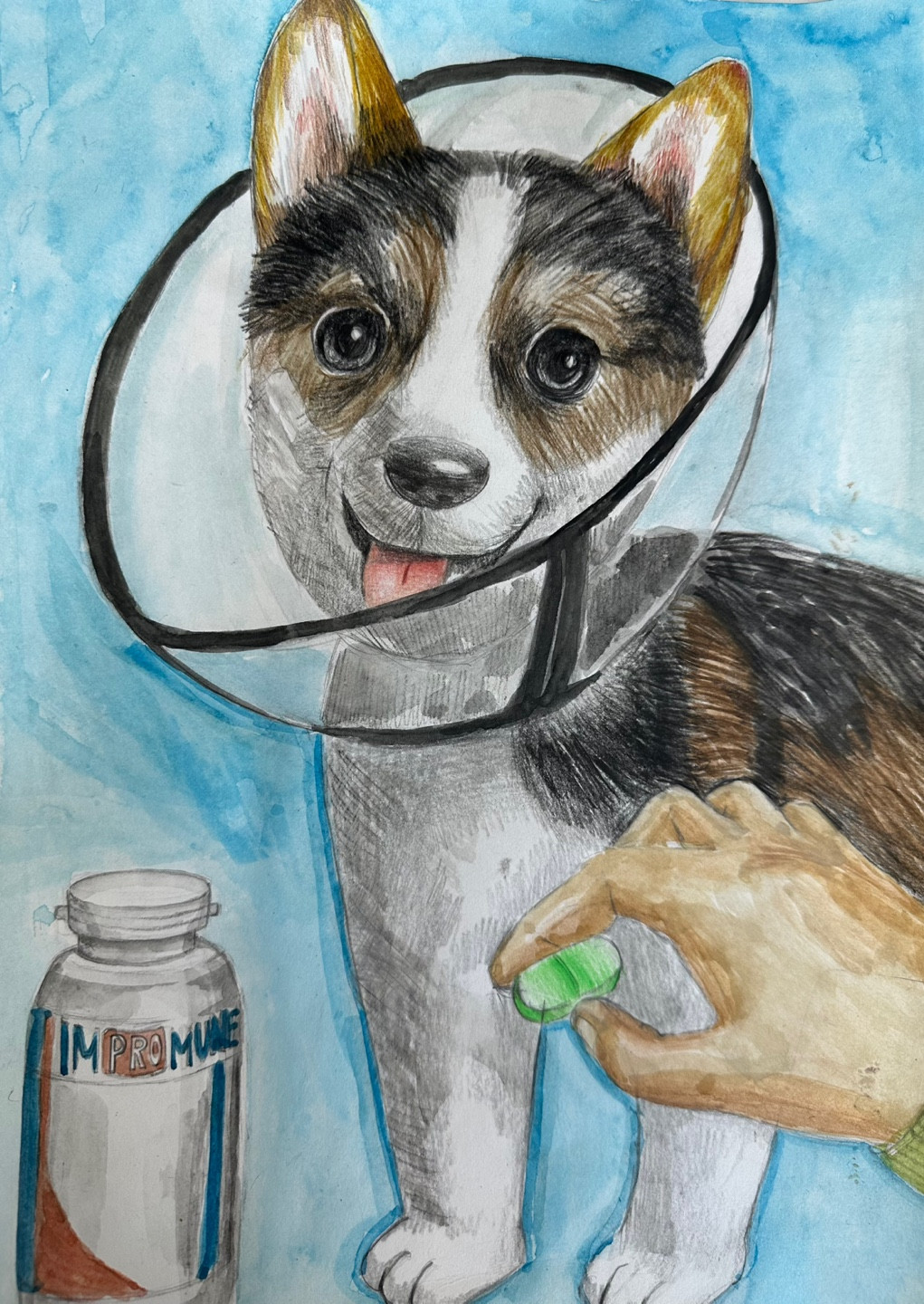 강아지와 영양제 썸네일