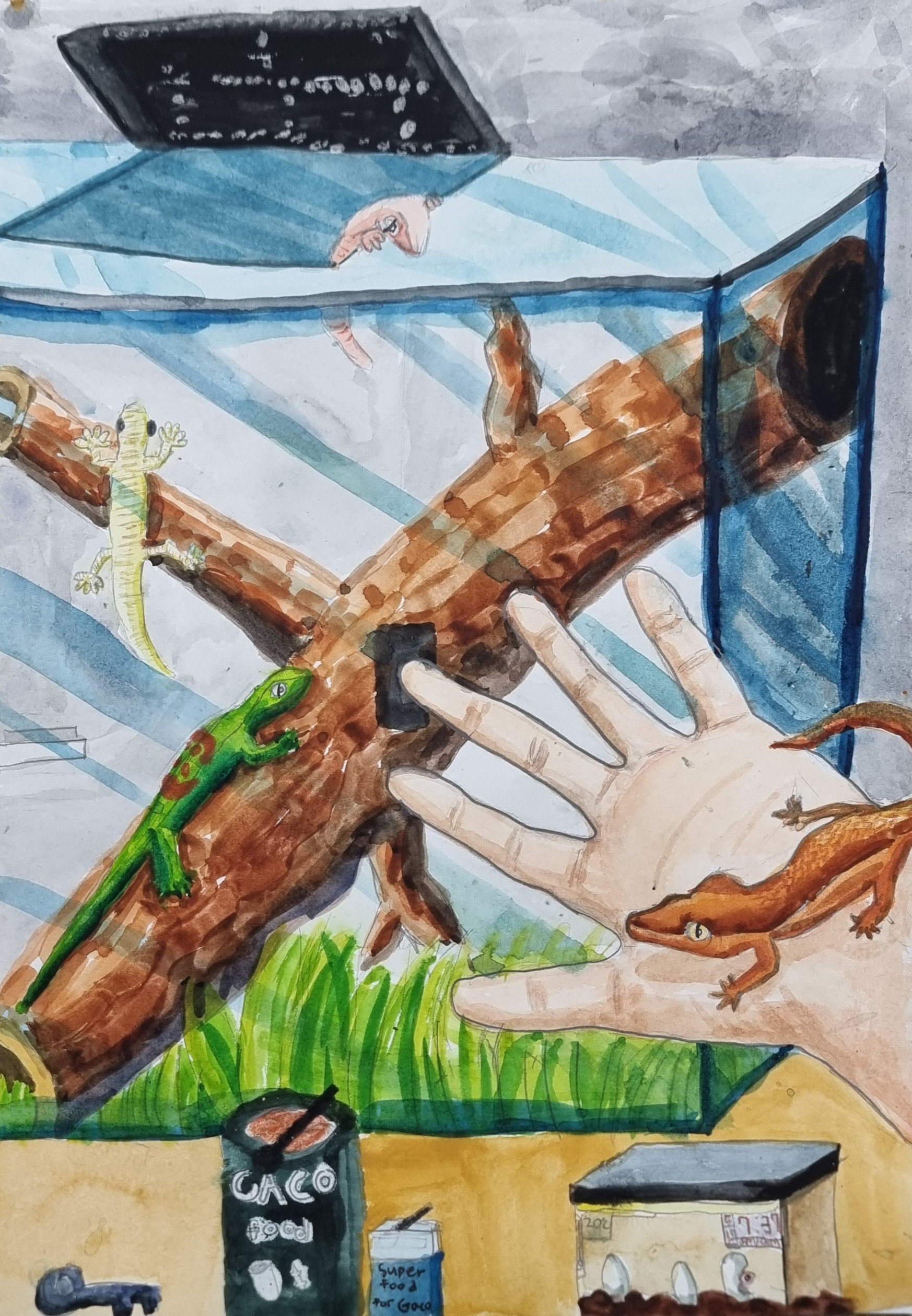 귀여운 도마뱀 키우기 썸네일