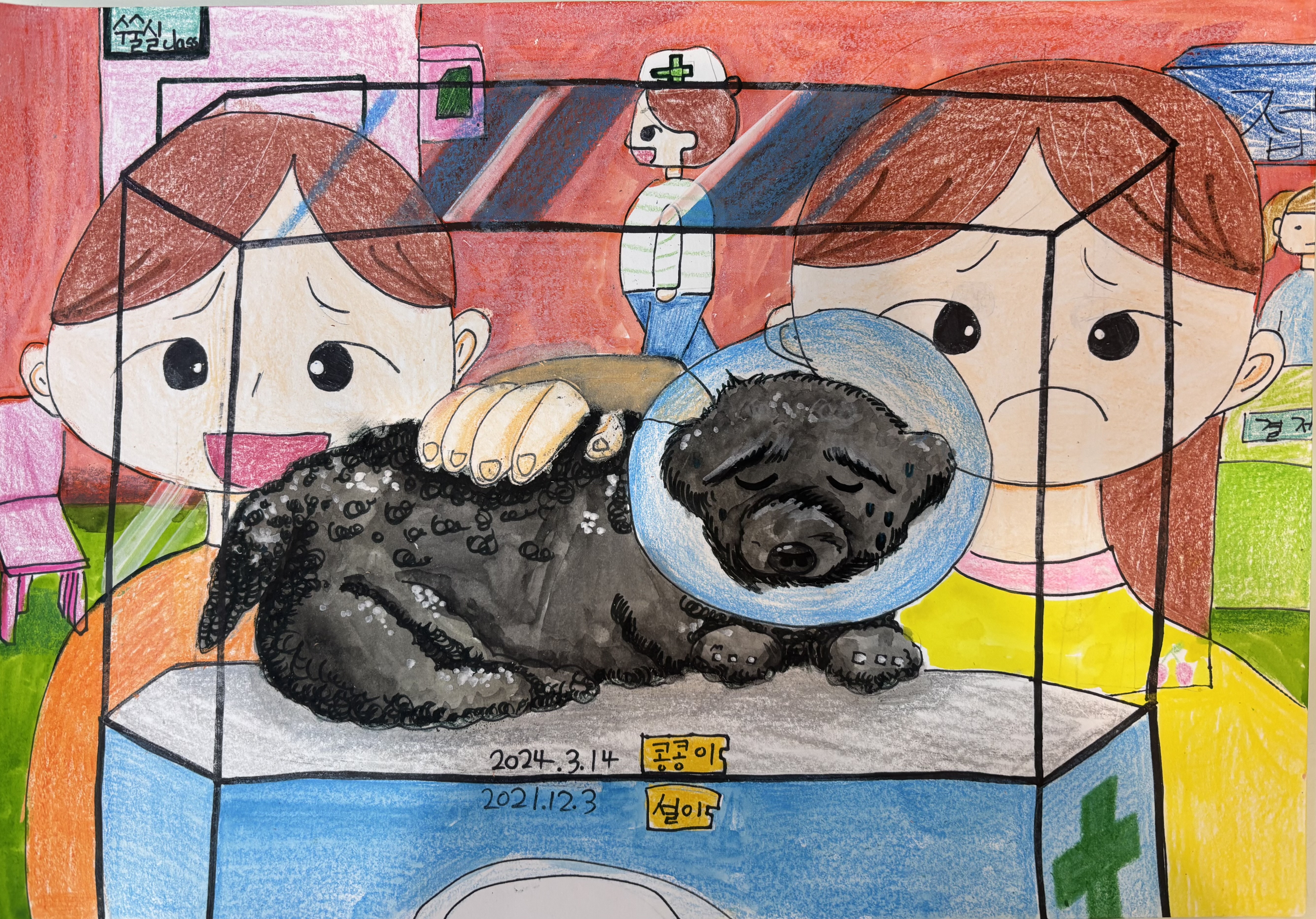 중성화한 콩콩이 썸네일