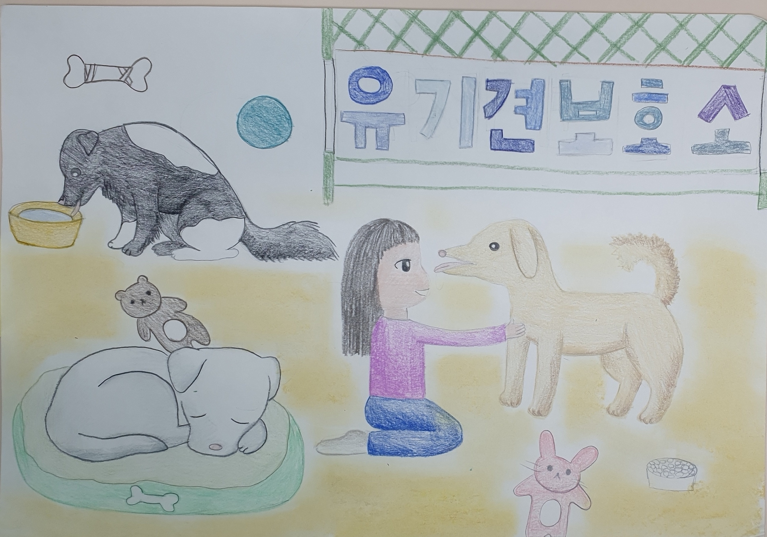 유기견 보호소에서 만난 내 강아지 썸네일