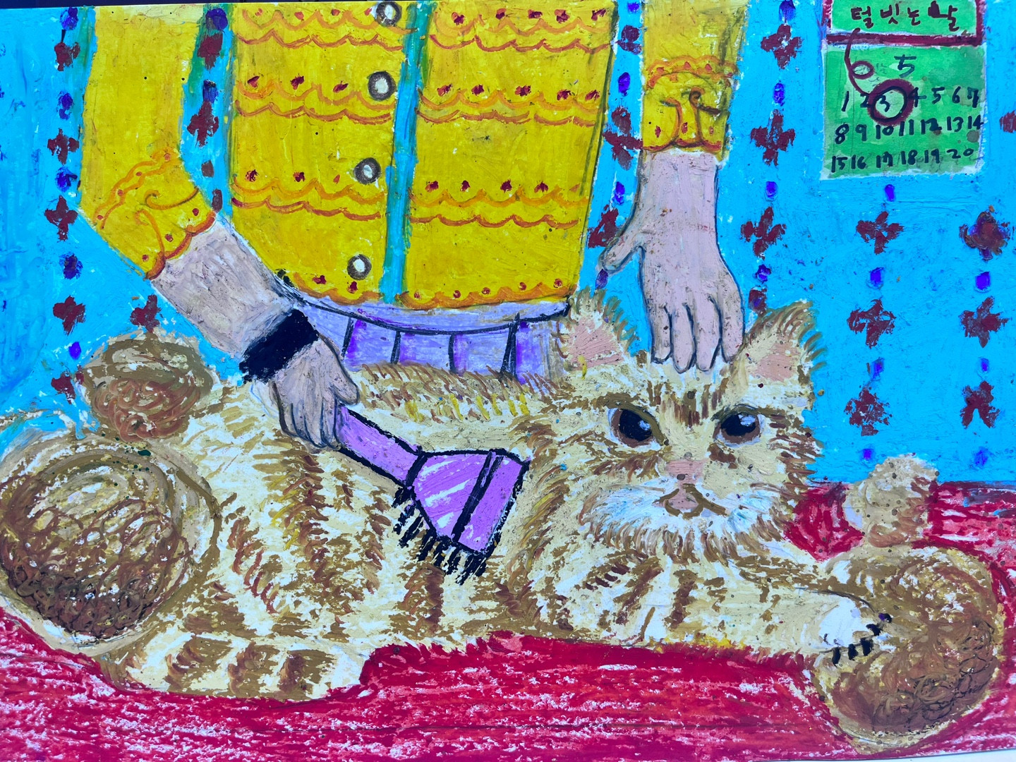 한달에 한번 털갈이 시기에 맞춰 고양이 털빗는날 썸네일